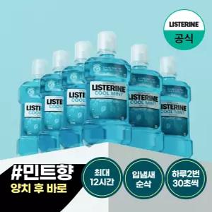 [리스테린/공식] 쿨민트 750ml 6개 외 대용량 Best 모음(750ml,250ml)