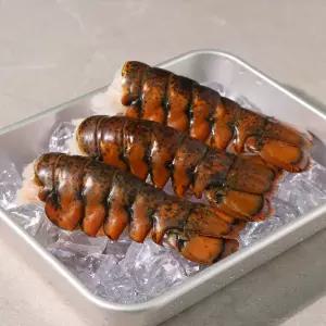 [5월 행사] 랍스터 테일 3마리 (합중량 330g 이상) 랍스타 꼬리
