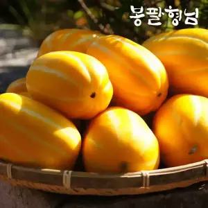 성주 꿀 참외 꼬마 (25-30과) 5kg 가정용
