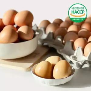 HACCP인증 저온숙성 구운계란(대란) 60구