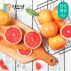 과즙콸콸 레드자몽 20과 중대/대과