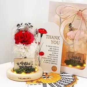 카네이션 LED 유리돔 무드등 어버이날 선물