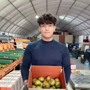 부산 대저토마토 2.5kg S