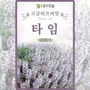 다농 타임 씨앗 1000립 백리향 타임 꽃씨 허브 종자