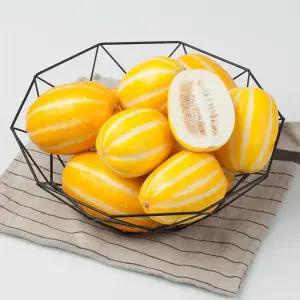 자연맛남 달콤한 가정용 성주 참외 5kg 소과(25-40과)