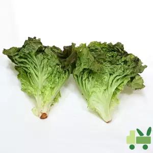 적포기 4Kg