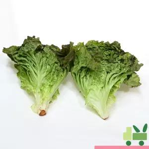 적포기 2Kg