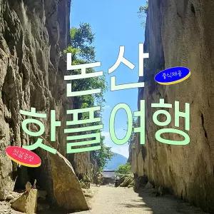 [충남] 논산 핫플 여행 ( 반야사 강경소금문학관 강경근대문화거리 탑정호 ) 당일여행 중식제공
