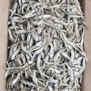 바다찬미 품질좋은 국내산 햇 고바멸치(최상급) 1.5kg
