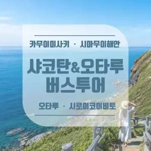[북해도] 삿포로 출발 샤코탄/오타루/시로이 코이비토파크 1일 버스투어 (바움쿠헨 제공)
