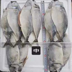 푸른바다 간고등어 중 1손 550g/600g [ 5손 2.75/3kg ]