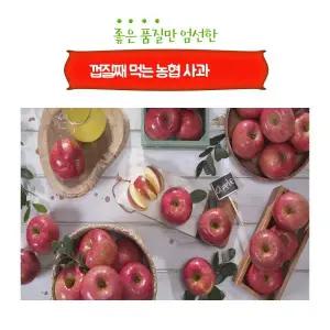2025 농협 음성 천생연 사과(부사)4.5kg*1박스_개당170~300g/15~27개