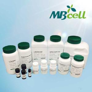 Amphotericin B [1g]
