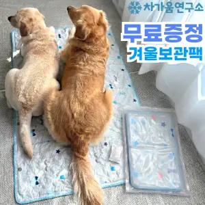 [무독성 냉각젤100%] 차가움연구소 시원한 강아지 애견 쿨매트 쿨젤매트 겨울보관팩 세트