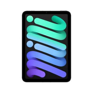 아이패드 미니 7세대 셀룰러 256GB 스페이스 그레이 MXPT3KH/A