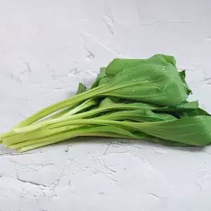 [미식한가] 강원도 정선 고랭지 명이나물 1kg