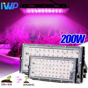 200w투광기 200W AC220V  스펙트럼 식물에 대 한 빛 Phyto 램프를 성장 텐트 꽃  범위 아웃도어 투광 조명