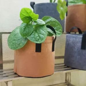 가드닝 부직포 화분 2p 세트 35x30cm 브라운/식물/다육이/텃밭/다육/분갈이/모종/인테리어/상추/예쁜/실내