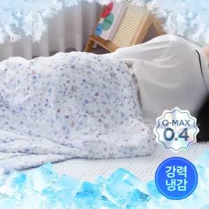 비엔룸 아이스 쿨 냉감이불 소프트 차렵 알러지케어