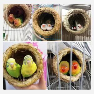 앵무새 은신처 코카티엘 침대 새 겨울용 플러시   애완동물 집 텐트