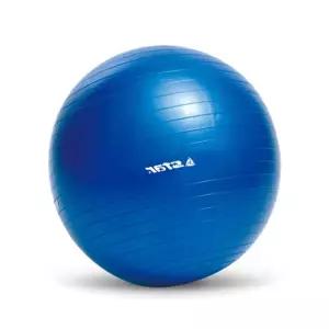 헬스용품 스트레칭 홈트 블루 마사지 짐볼 스타 운동 45cm
