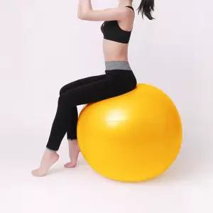 헬스용품 필라테스 코어 운동 요가 짐볼 65cm