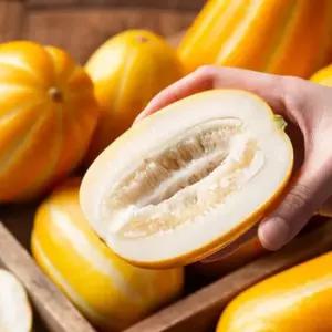 농협 한입에 반한 참외 5kg 특 대과 11-15과내