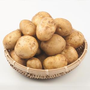 [또기요]감자 개진감자 수미 감자3kg 5kg(대) 가정용 업소용 국산