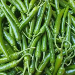 국내산 청양고추 상급 1kg