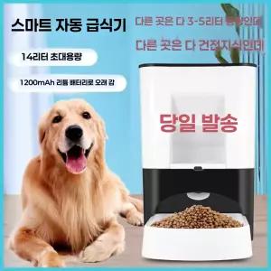 자율배식 자동 급식기 대형견 대용량 배식