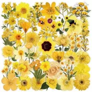 50Pcs 해바라기 투명 노란색 스티커 전화 케이스 노트북 가방 포장 방수