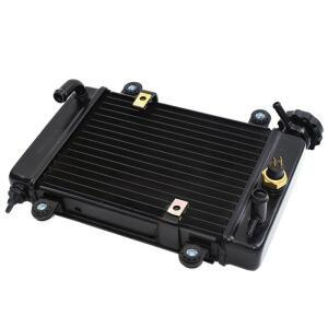Bashan 200-7 250cc 200cc 전기 ATV UTV 고 카트 버기 부품 용 수냉 탱크 라디에이터