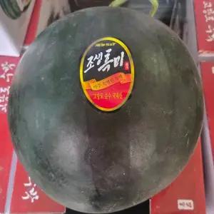 고당도 정품 흑수박 꿀수박 흑미수박 국내산 산지직송 5kg BSU5