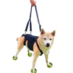 허리보호대 노견 강아지