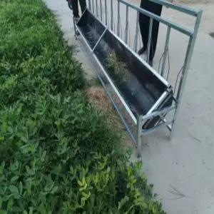 소 여물통 농장 목장 파티션 사료 급식기 송아지 돼지