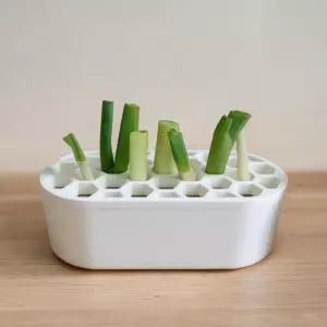 집에서 대파 키우기 플랜트 박스 파 화분 기르기