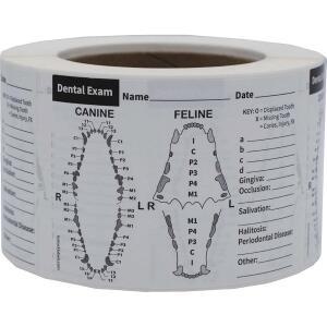 CANINE AND FELINE 4인치 스티커 100개 수의학 DENTAL EXAM 2CM 라벨 10
