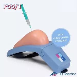 [종로의료기]3B Scientific 주사실습모형 P55/1 근육주사실습 어깨주사 Sound&Light 피드백