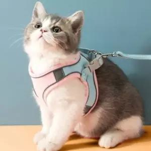 반려동물 빛반사 하네스+리드줄(M) 고양이 야간하네스 반려묘하네스 (WC2D1B3)