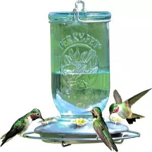 퍼키펫 메이슨 병 빈티지 스타일 유리 벌새 모이통 785-1SR - 야외 정원 장식용 32온스 꿀 용량