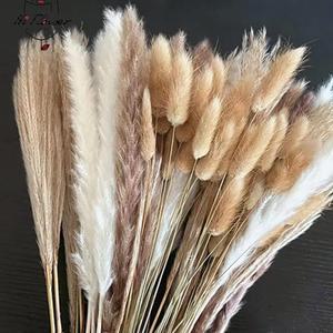 졸업꽃다발 솜털 팜파스 말린 꽃 꽃다발 홈 장식 자연 토끼 꼬리 잔디 인공 웨딩 파티 100