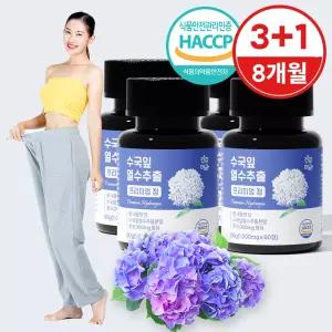 수국잎 열수 추출물 수국 국내산 프리미엄 정 4병(8개월분)