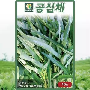 다농 공심채 씨앗 10g 공심채씨 모닝글로리 종자