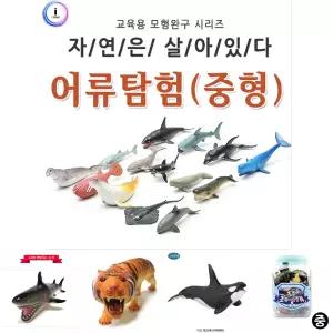 자연은살아있다 어류탐험 중형 815826C/동물/모형/피규어/교육용/학습용/발달/호기심/관찰/발달/바다동물