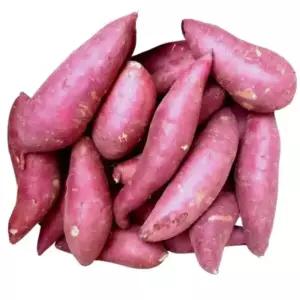 꿀 고구마(베니하루카) 못난이(파지) 10kg