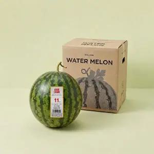 AI선별 여름수박 6~7kg미만