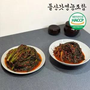 [NS홈쇼핑][돌산갓영농조합] 산지직송 전라도 갓김치4kg+고들빼기1kg[35960755]