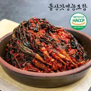 [NS홈쇼핑][돌산갓영농조합] 산지직송 전라도 여수돌산 고들빼기 3kg[35960761]