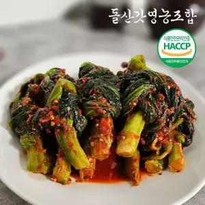 [NS홈쇼핑][돌산갓영농조합] 산지직송 전라도 여수돌산 갓김치 1kg[35960769]