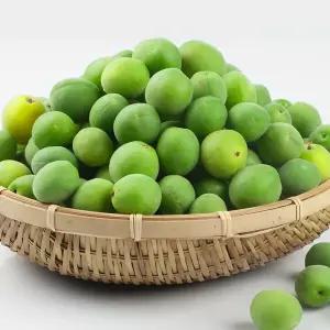 [6월4일부터 순차출고]광양매실 청매실 5kg (대) 33mm 내외